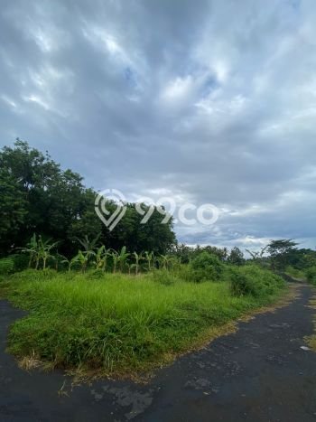Tanah Kavling Dijual di Badung dengan Spesifikasi 3750m2 Tanah Kavling Dijual di Badung dengan Spesifikasi 3750m2