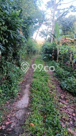 Untuk Dijual Tanah di Buleleng, Luas 6000m2 SHM Untuk Dijual Tanah di Buleleng, Luas 6000m2 SHM