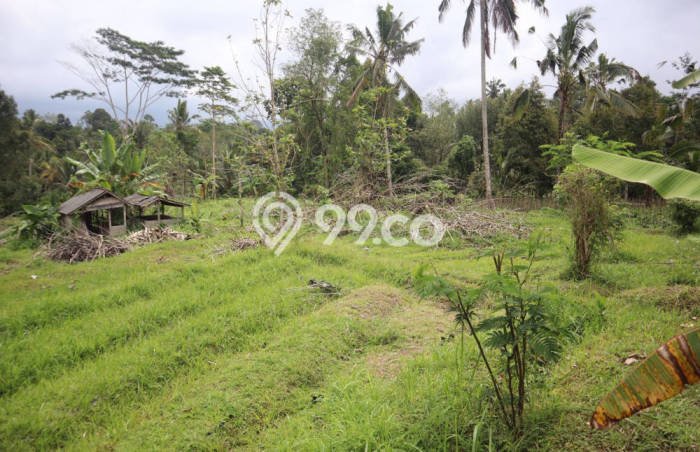 Kavling Tanah untuk Dijual di Apuan, Tabanan, Luas 8799m2 Kavling Tanah untuk Dijual di Apuan, Tabanan, Luas 8799m2