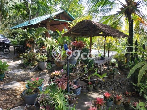 Jarang Ada! Tanah di Seririt Punya Luas 2600m2 SHM Jarang Ada! Tanah di Seririt Punya Luas 2600m2 SHM