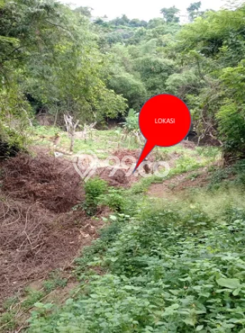 Kavling Tanah di Sawan Dijual Luas 17900m2 Legalitas SHM Kavling Tanah di Sawan Dijual Luas 17900m2 Legalitas SHM