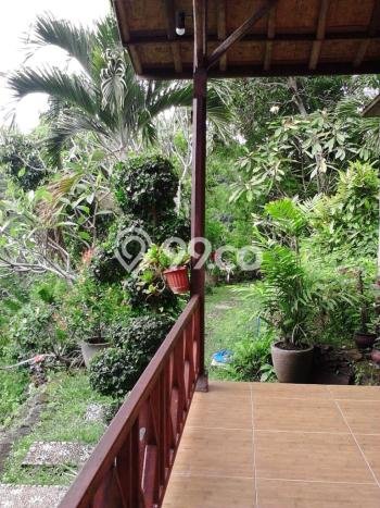 Jarang Ada! Tanah di Seririt Punya Luas 2600m2 SHM Jarang Ada! Tanah di Seririt Punya Luas 2600m2 SHM