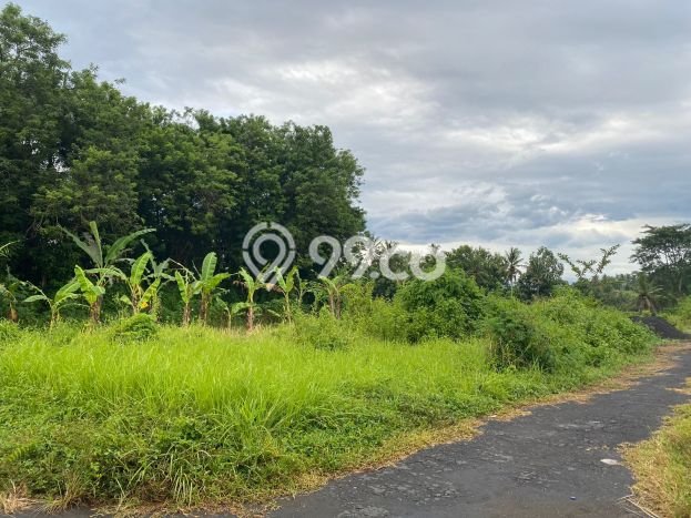 Tanah Kavling Dijual di Badung dengan Spesifikasi 3750m2 Tanah Kavling Dijual di Badung dengan Spesifikasi 3750m2