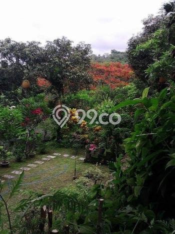 Jarang Ada! Tanah di Seririt Punya Luas 2600m2 SHM Jarang Ada! Tanah di Seririt Punya Luas 2600m2 SHM