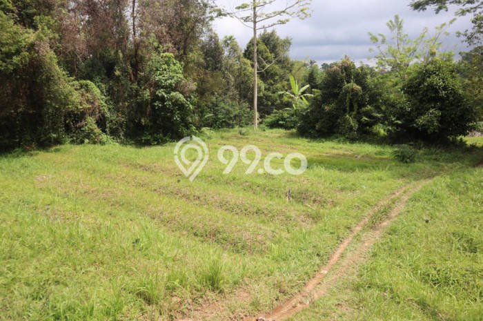 Kavling Tanah untuk Dijual di Apuan, Tabanan, Luas 8799m2 Kavling Tanah untuk Dijual di Apuan, Tabanan, Luas 8799m2