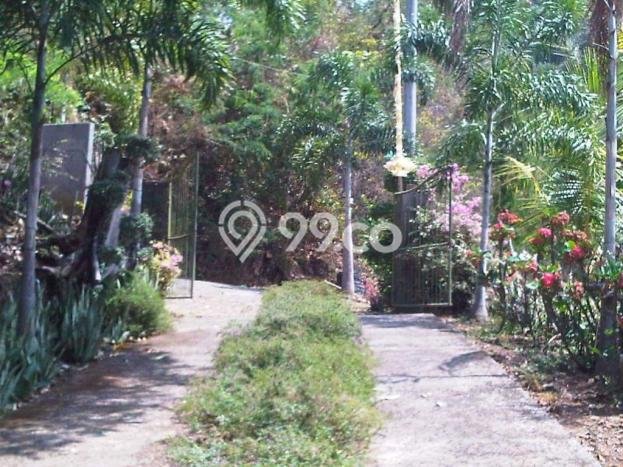 Jarang Ada! Tanah di Seririt Punya Luas 2600m2 SHM Jarang Ada! Tanah di Seririt Punya Luas 2600m2 SHM
