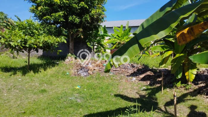 Lahan Disewakan Lokasi Benoa Badung Luas 750m2 Lahan Disewakan Lokasi Benoa Badung Luas 750m2