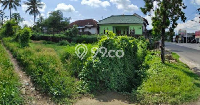 Tanah Kavling Disewakan di Rangdu dengan Luas 600m2 Tanah Kavling Disewakan di Rangdu dengan Luas 600m2