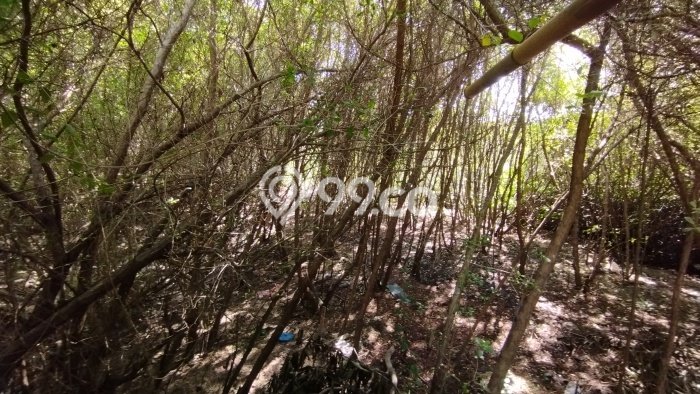 Investasi Kost di Kuta Selatan Spesifikasi 19 KT & 19 KM Investasi Kost di Kuta Selatan Spesifikasi 19 KT & 19 KM