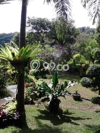 Jarang Ada! Tanah di Seririt Punya Luas 2600m2 SHM Jarang Ada! Tanah di Seririt Punya Luas 2600m2 SHM