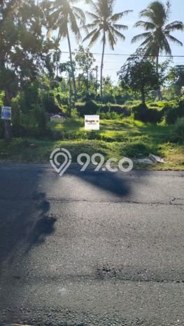 Tanah Kavling Disewakan di Rangdu dengan Luas 600m2 Tanah Kavling Disewakan di Rangdu dengan Luas 600m2