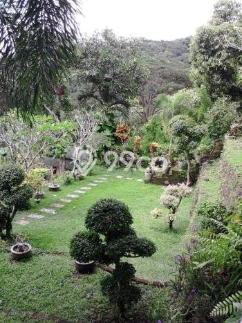 Jarang Ada! Tanah di Seririt Punya Luas 2600m2 SHM Jarang Ada! Tanah di Seririt Punya Luas 2600m2 SHM