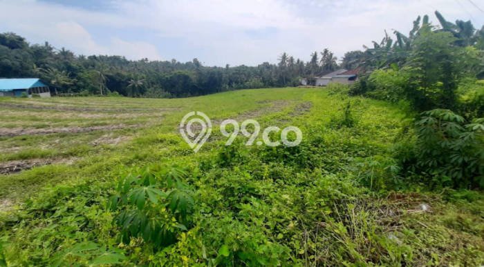 Tanah Dijual di Tabanan Seluas 3200m2 Strategis Tanah Dijual di Tabanan Seluas 3200m2 Strategis