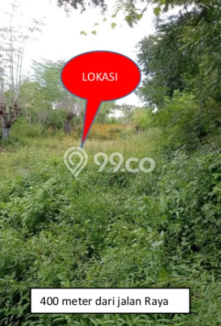 Kavling Tanah di Sawan Dijual Luas 17900m2 Legalitas SHM Kavling Tanah di Sawan Dijual Luas 17900m2 Legalitas SHM