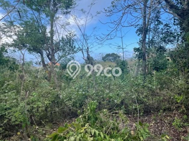 Kavling Tanah untuk Dijual di Pecatu, Badung, Luas 2777m2 Kavling Tanah untuk Dijual di Pecatu, Badung, Luas 2777m2