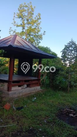 Untuk Dijual Tanah di Buleleng, Luas 6000m2 SHM Untuk Dijual Tanah di Buleleng, Luas 6000m2 SHM