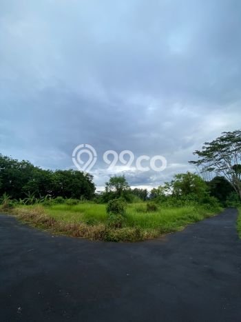Tanah Kavling Dijual di Badung dengan Spesifikasi 3750m2 Tanah Kavling Dijual di Badung dengan Spesifikasi 3750m2
