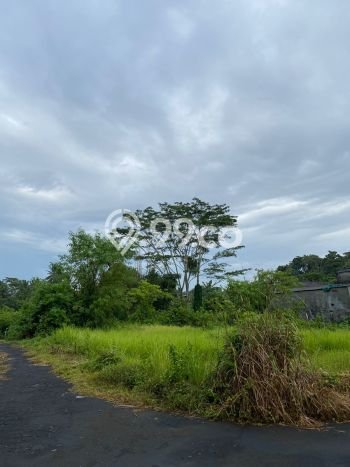 Tanah Kavling Dijual di Badung dengan Spesifikasi 3750m2 Tanah Kavling Dijual di Badung dengan Spesifikasi 3750m2