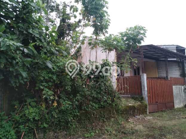 Dijual Rumah Murah di Ungaran Timur Semarang Harga Rp 300 Juta LT 96m2 Dijual Rumah Murah di Ungaran Timur Semarang Harga Rp 300 Juta LT 96m2