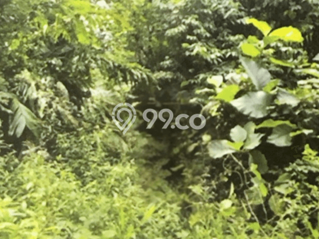 Dijual Tanah di Bunaken Manado Luas 43225m2 - Dijual Tanah di Bunaken Manado Luas 43225m2 -