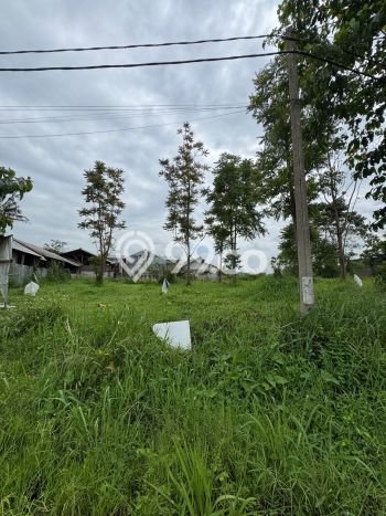 Jarang Ada! Tanah di Margaasih Punya Luas 1215m2 SHM Jarang Ada! Tanah di Margaasih Punya Luas 1215m2 SHM