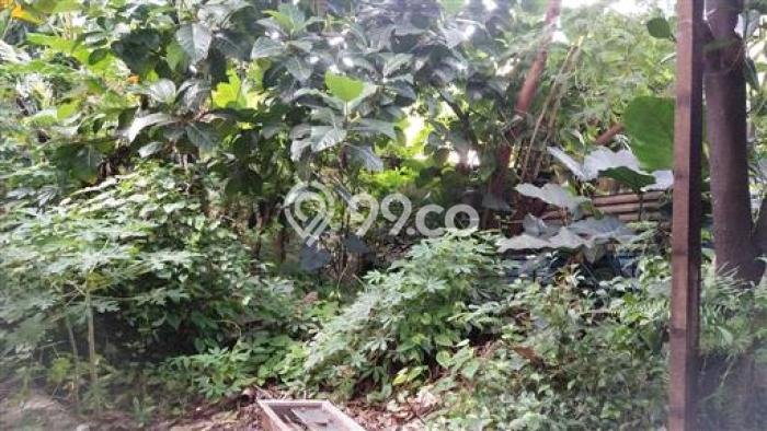 Tanah di Kalimalang, Bekasi Luas 2216m2 Dijual Segera Tanah di Kalimalang, Bekasi Luas 2216m2 Dijual Segera