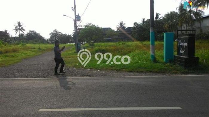 Kavling Tanah di Anyer Dijual Luas 14000m2 Legalitas SHM Kavling Tanah di Anyer Dijual Luas 14000m2 Legalitas SHM