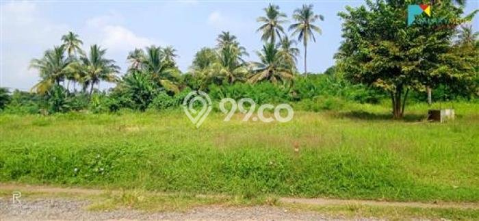 Kavling Tanah di Anyer Dijual Luas 14000m2 Legalitas SHM Kavling Tanah di Anyer Dijual Luas 14000m2 Legalitas SHM
