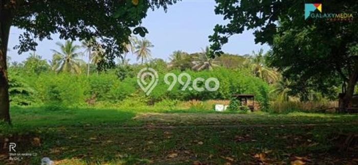 Kavling Tanah di Anyer Dijual Luas 14000m2 Legalitas SHM Kavling Tanah di Anyer Dijual Luas 14000m2 Legalitas SHM