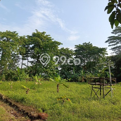 Tanah Dijual Lokasi Bogor Timur, Bogor Luas 5317m2 Legalitas Aman Tanah Dijual Lokasi Bogor Timur, Bogor Luas 5317m2 Legalitas Aman