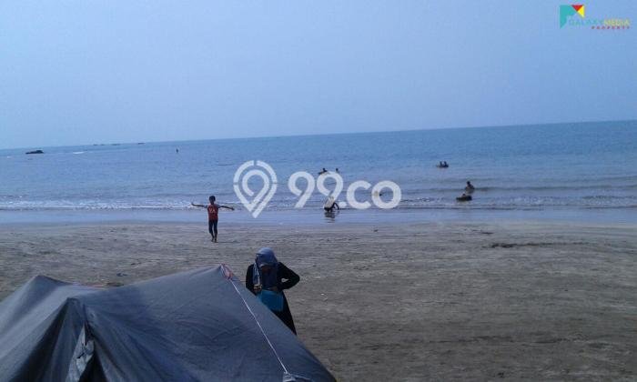 Kavling Tanah di Anyer Dijual Luas 14000m2 Legalitas SHM Kavling Tanah di Anyer Dijual Luas 14000m2 Legalitas SHM