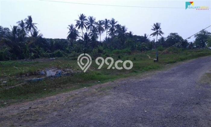 Kavling Tanah di Anyer Dijual Luas 14000m2 Legalitas SHM Kavling Tanah di Anyer Dijual Luas 14000m2 Legalitas SHM