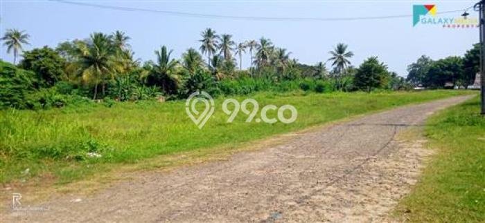 Kavling Tanah di Anyer Dijual Luas 14000m2 Legalitas SHM Kavling Tanah di Anyer Dijual Luas 14000m2 Legalitas SHM