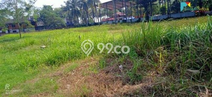 Kavling Tanah di Anyer Dijual Luas 14000m2 Legalitas SHM Kavling Tanah di Anyer Dijual Luas 14000m2 Legalitas SHM