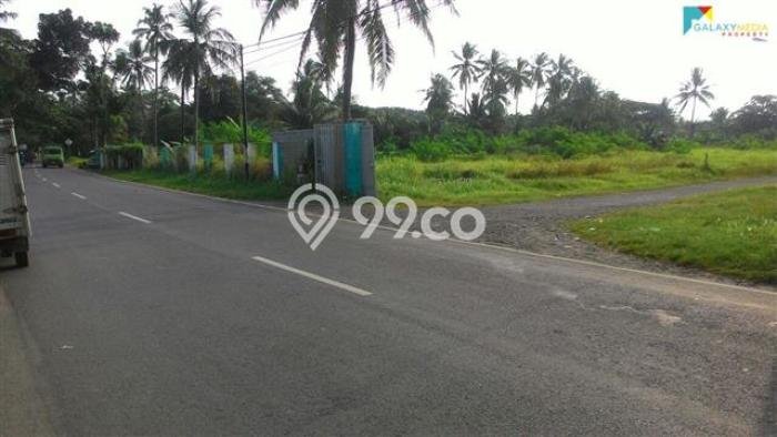 Kavling Tanah di Anyer Dijual Luas 14000m2 Legalitas SHM Kavling Tanah di Anyer Dijual Luas 14000m2 Legalitas SHM