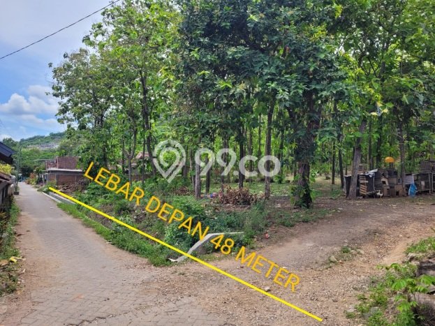 Tanah untuk Dijual Lokasi Kalipuro, Banyuwangi Luas 7138m2 SHM Tanah untuk Dijual Lokasi Kalipuro, Banyuwangi Luas 7138m2 SHM