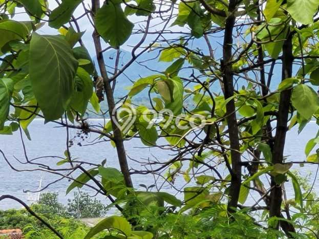 Tanah untuk Dijual Lokasi Kalipuro, Banyuwangi Luas 7138m2 SHM Tanah untuk Dijual Lokasi Kalipuro, Banyuwangi Luas 7138m2 SHM