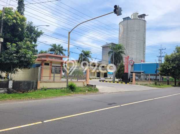 Tanah untuk Dijual Lokasi Kalipuro, Banyuwangi Luas 7138m2 SHM Tanah untuk Dijual Lokasi Kalipuro, Banyuwangi Luas 7138m2 SHM