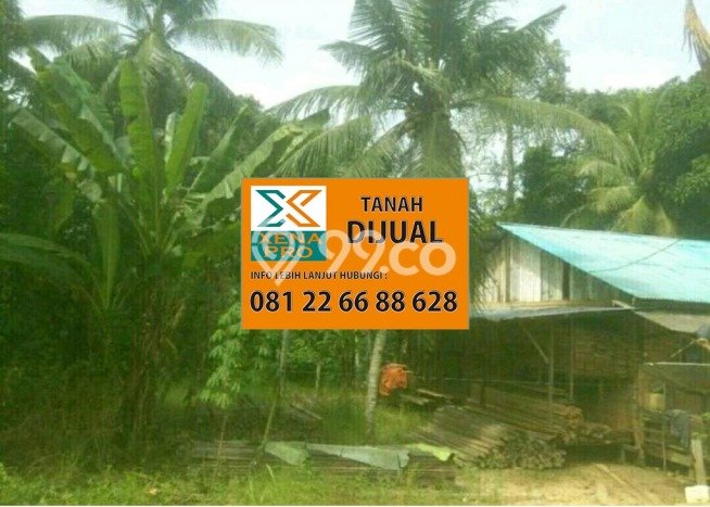Jarang Ada! Tanah di Samarinda Utara Punya Luas 39137m2 SHM Jarang Ada! Tanah di Samarinda Utara Punya Luas 39137m2 SHM