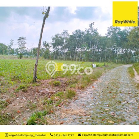 Tanah Lokasi Prima Kawasan Jati Agung, Luas 8888m2m², Lingkungan Nyaman, Dekat Jati Agung, Lampung Selatan, Lampung Selatan Tanah Lokasi Prima Kawasan Jati Agung, Luas 8888m2m², Lingkungan Nyaman, Dekat Jati Agung, Lampung Selatan, Lampung Selatan