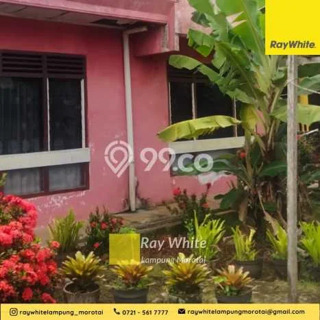 Rumah Budget Terbaik Dijual Area Gabek LT 1m2 Rumah Budget Terbaik Dijual Area Gabek LT 1m2