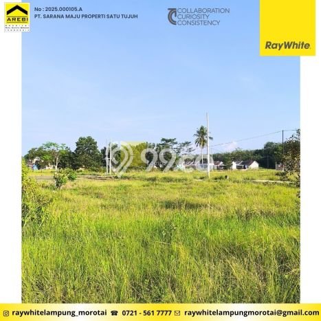 Tanah Dijual Lokasi Jati Agung, Lampung Selatan Luas 7209m2 Legalitas Aman Tanah Dijual Lokasi Jati Agung, Lampung Selatan Luas 7209m2 Legalitas Aman