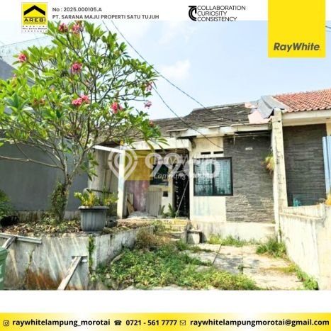 Rumah Minimalis Dijual Lokasi Bogor Tengah 3 Kamar dengan LT 105m2 Rumah Minimalis Dijual Lokasi Bogor Tengah 3 Kamar dengan LT 105m2