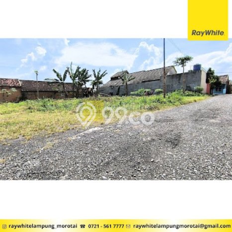 Lahan untuk Dijual Lokasi Way Halim, Bandar Lampung Luas 717m2 SHM Lahan untuk Dijual Lokasi Way Halim, Bandar Lampung Luas 717m2 SHM