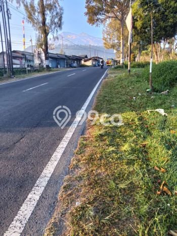 Dijual Tanah Lokasi Kopeng, Salatiga Seluas 2940m2 Dijual Tanah Lokasi Kopeng, Salatiga Seluas 2940m2