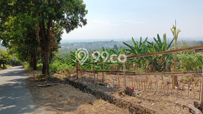 Tanah Dijual Area Strategis di Bukit Sari Semarang 1664m2 Tanah Dijual Area Strategis di Bukit Sari Semarang 1664m2