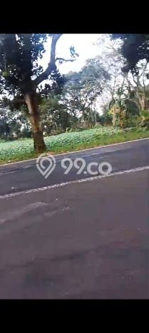 Tanah Dijual Area Strategis di Kopeng Salatiga 2300m2 Tanah Dijual Area Strategis di Kopeng Salatiga 2300m2