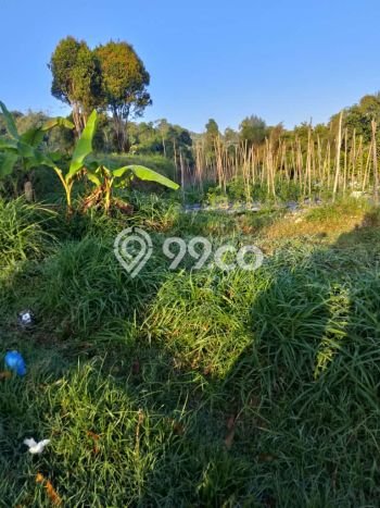 Dijual Tanah Lokasi Kopeng, Salatiga Seluas 2940m2 Dijual Tanah Lokasi Kopeng, Salatiga Seluas 2940m2