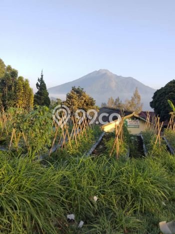 Dijual Tanah Lokasi Kopeng, Salatiga Seluas 2940m2 Dijual Tanah Lokasi Kopeng, Salatiga Seluas 2940m2
