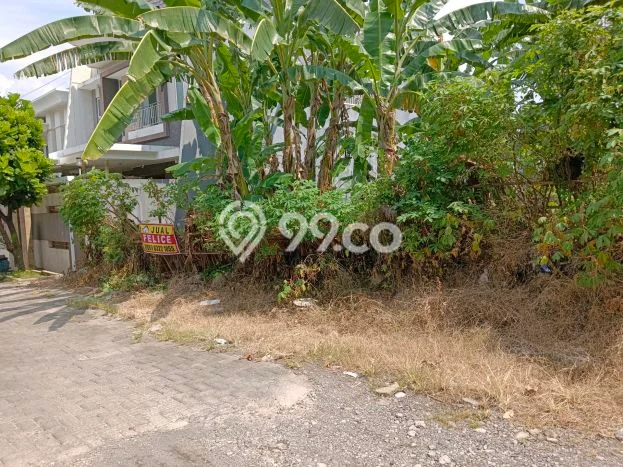 Tanah Dijual Area Strategis di Bukit Sari Semarang 340m2 Tanah Dijual Area Strategis di Bukit Sari Semarang 340m2